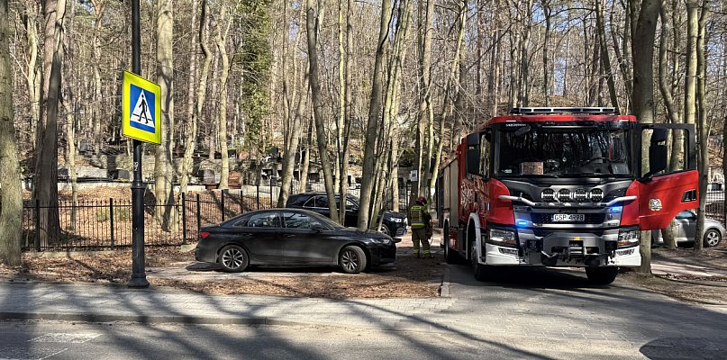 Ogień na sopockim cmentarzu. Na miejscu pracowali strażacy i policjanci