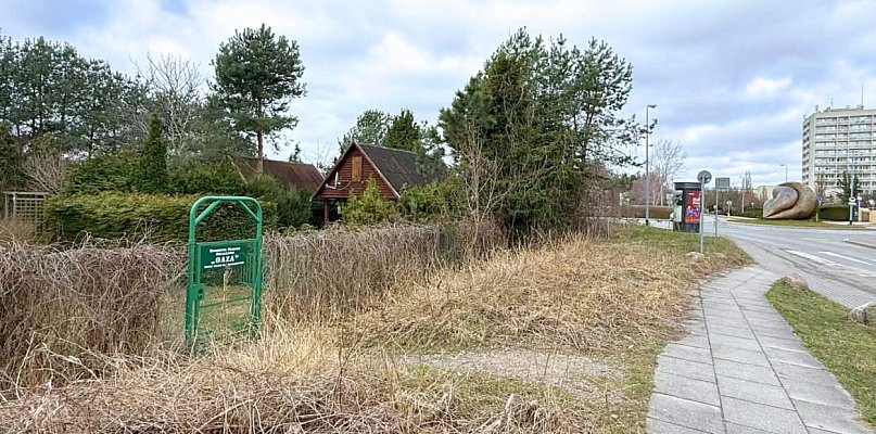 Powstała petycja w obronie ROD „Oaza” w Sopocie