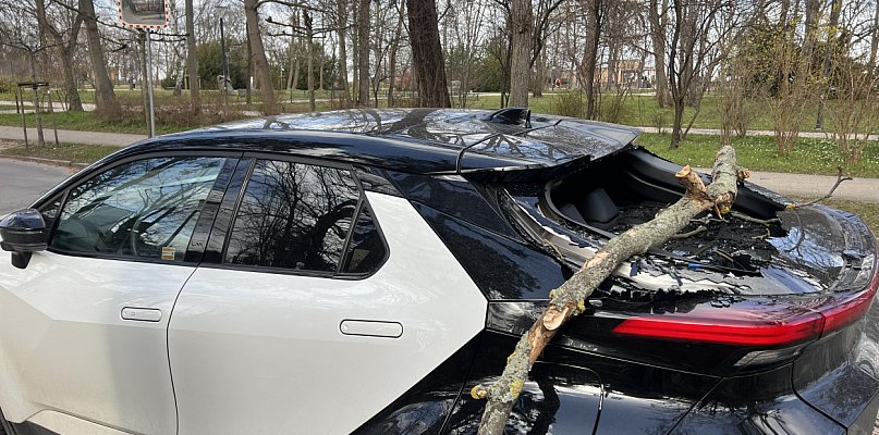 Skutki silnego wiatru w Sopocie! Spadające gałęzie uszkodziły zaparkowane auto
