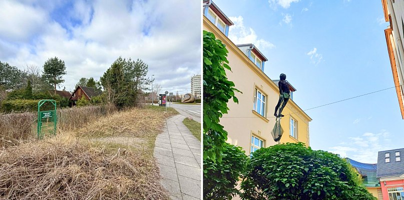 Walka z dzikim wynajmem i plany na trzcinowisko. Prezydentka Sopotu o zmianach