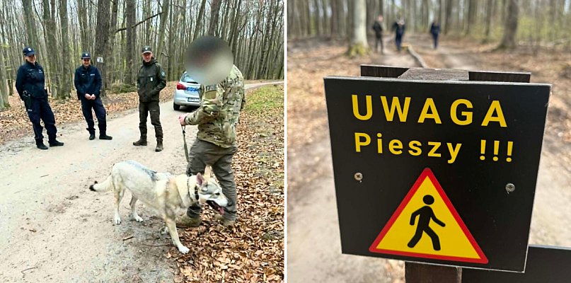 Las w Sopocie pod ochroną! Policja i Straż Leśna dba o przestrzeganie prawa