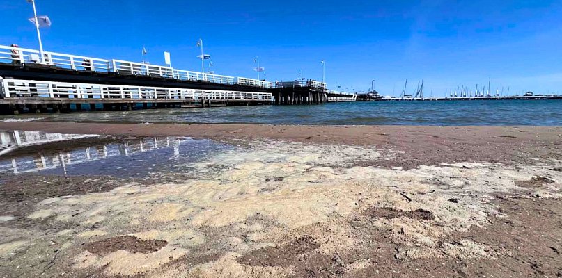 Plaża w Sopocie jest brudna? Żółty osad nad Bałtykiem