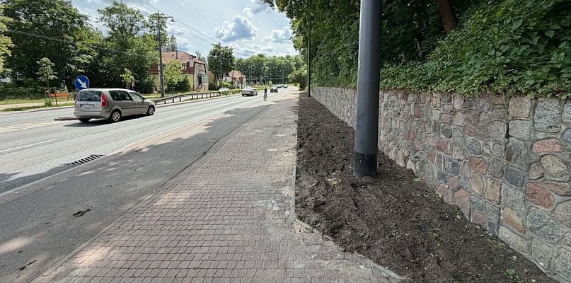 Czy o to chodziło mieszkańcom? Nowy pas zieleni w Sopocie w ogniu krytyki