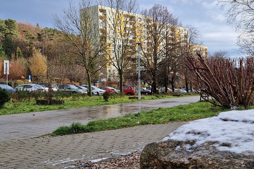 Pierwszy śnieg tej jesieni w Sopocie! Ulotna biała pierzynka na Brodwinie [FOTO]