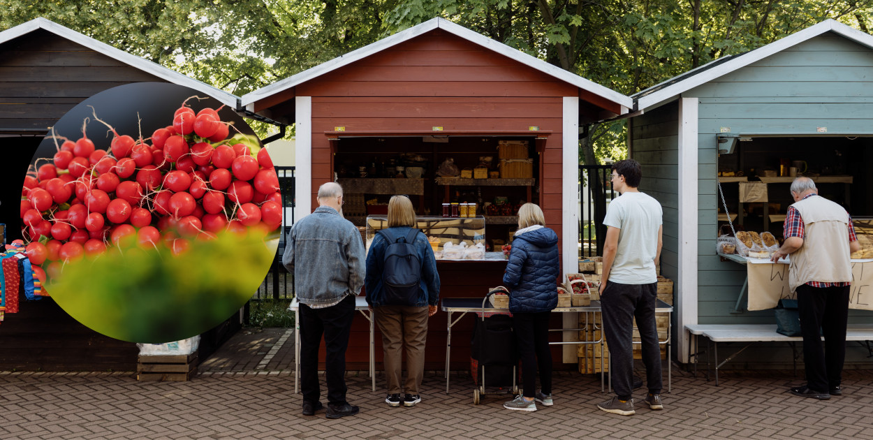 Co dziś na targu? Sprawdzamy ceny na Sopockim Rynku Non-Stop
