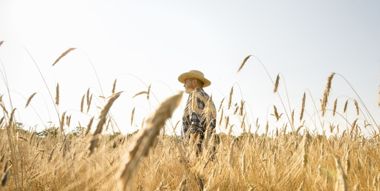 Dlaczego warto zostać rolnikiem indywidualnym? Sprawdź, jak to zrobić