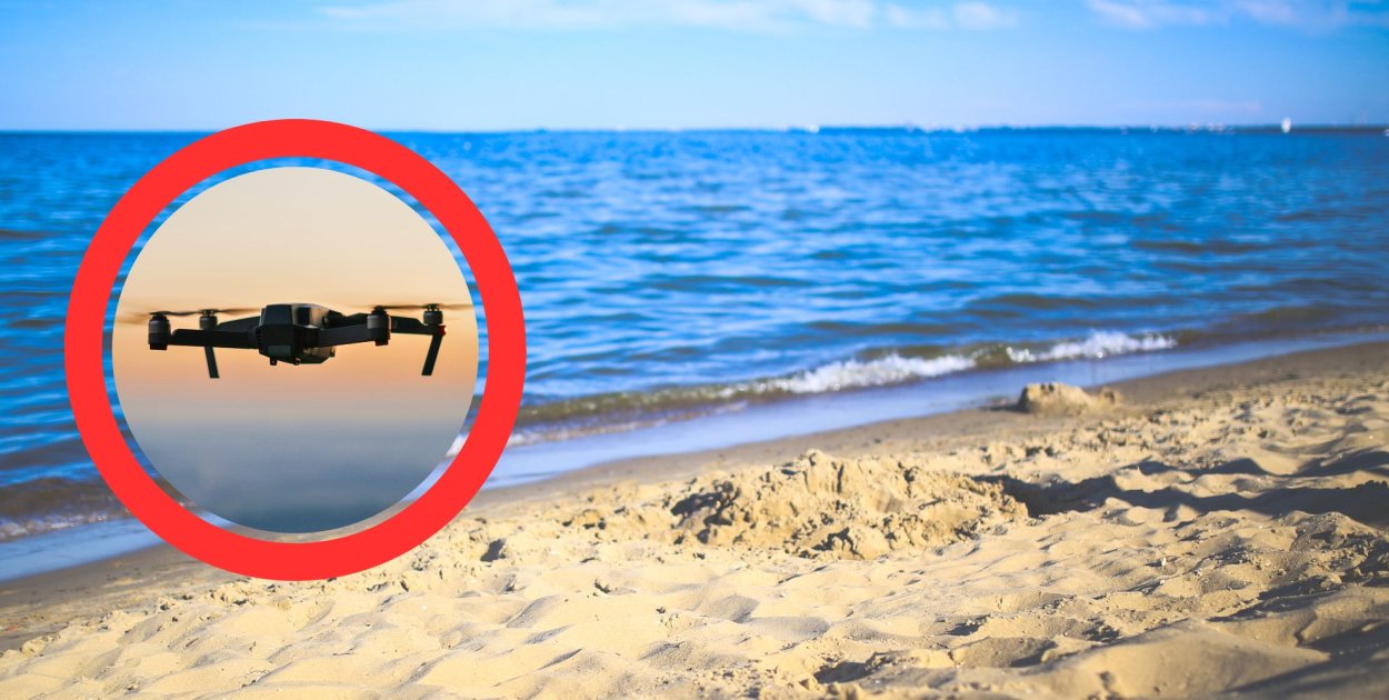 Fot. materiały Canva Pro