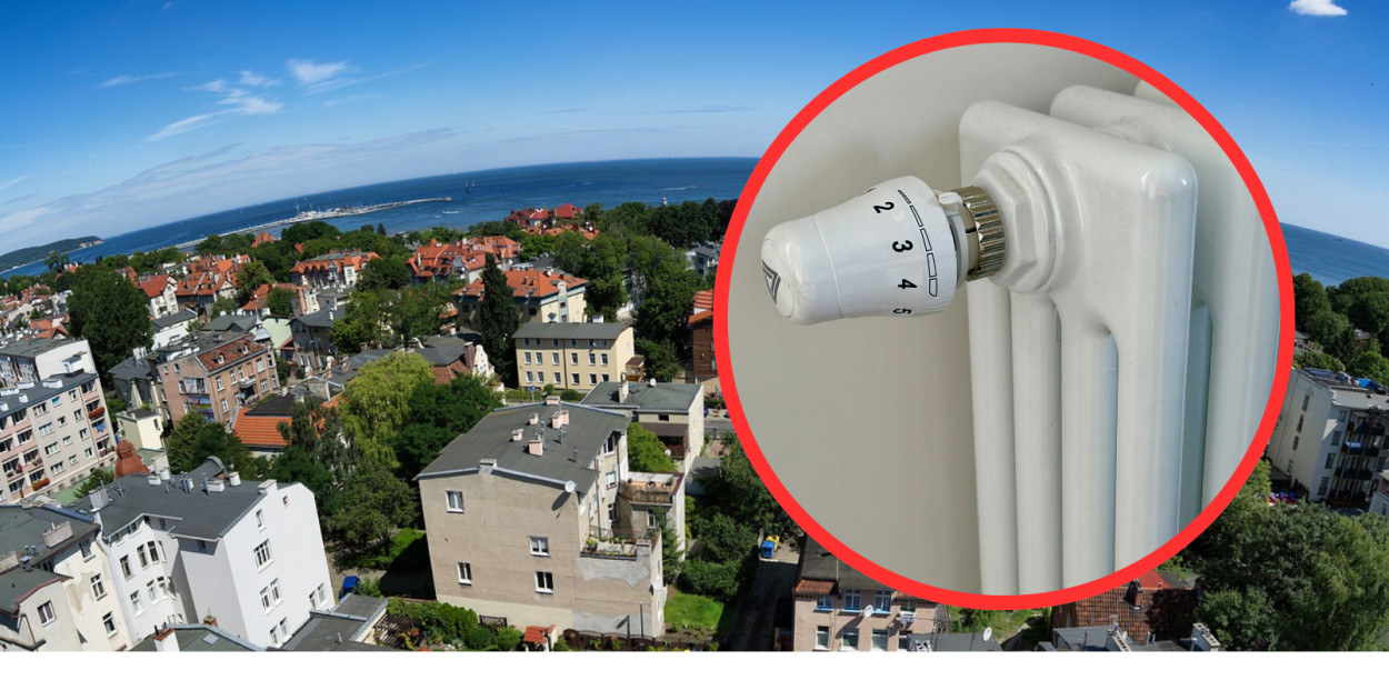 Obraz qimono z Pixabay / Esopot.pl