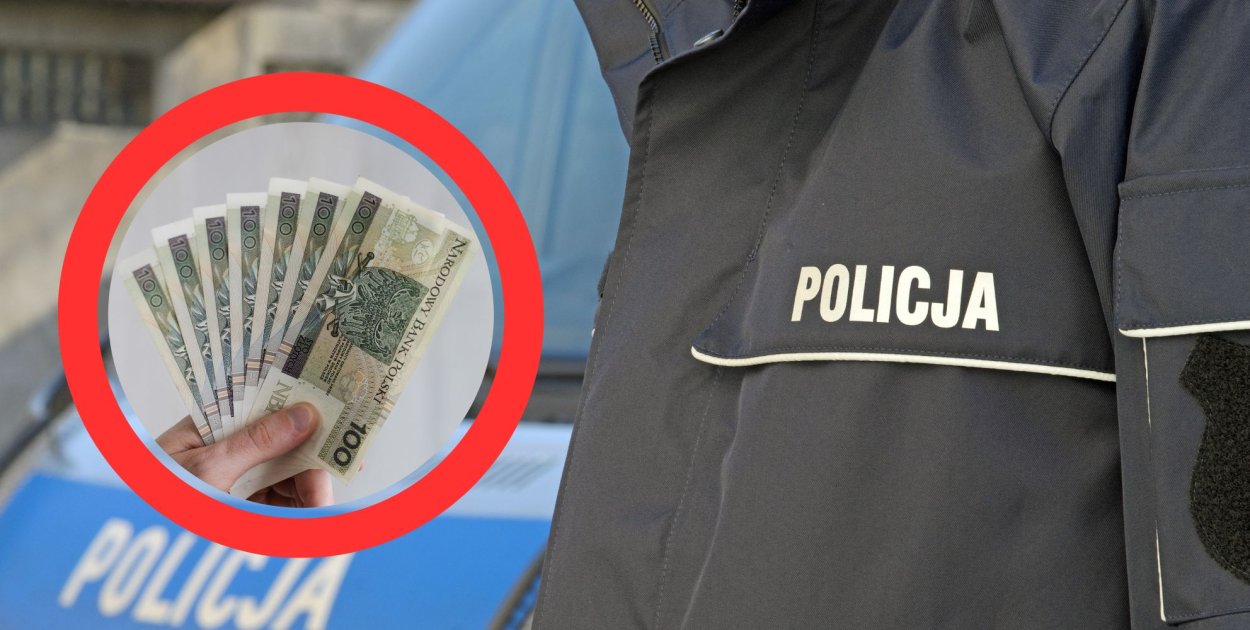 Fot. materiały Canva Pro