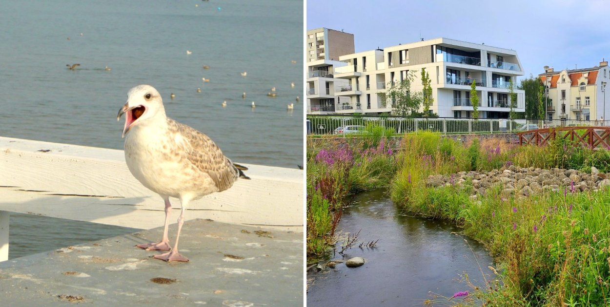 Ceny mieszkań w Sopocie pozostają jednymi z najdroższych w Polsce, bez względu na drobne wahania.