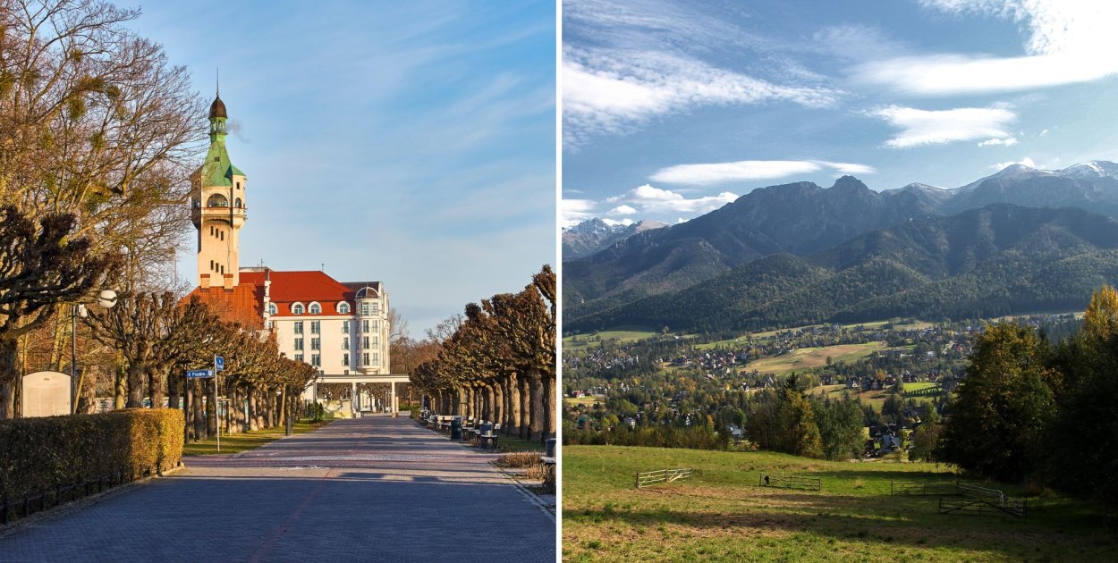 Fot. materiały Canva Pro