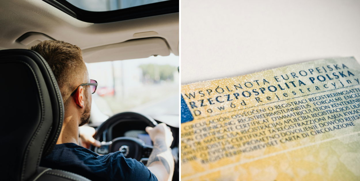 Canva Pro/zdjęcie poglądowe