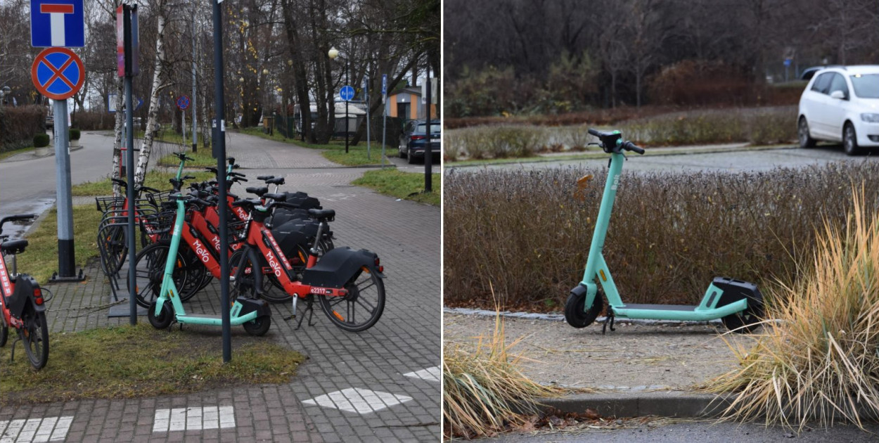 Zdjęcia nadesłane przez czytelnika.