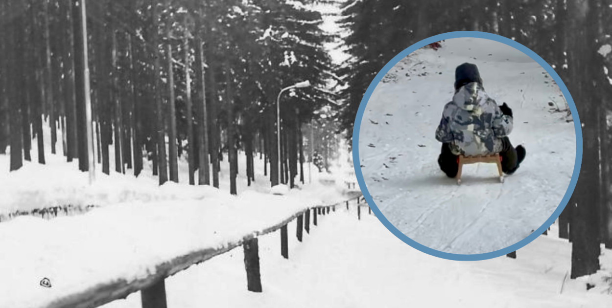 Tor saneczkowy w Sopocie, koniec lat 50. XX w. Fotografia ze zbiorów Muzeum Sopotu. / Esopot.pl