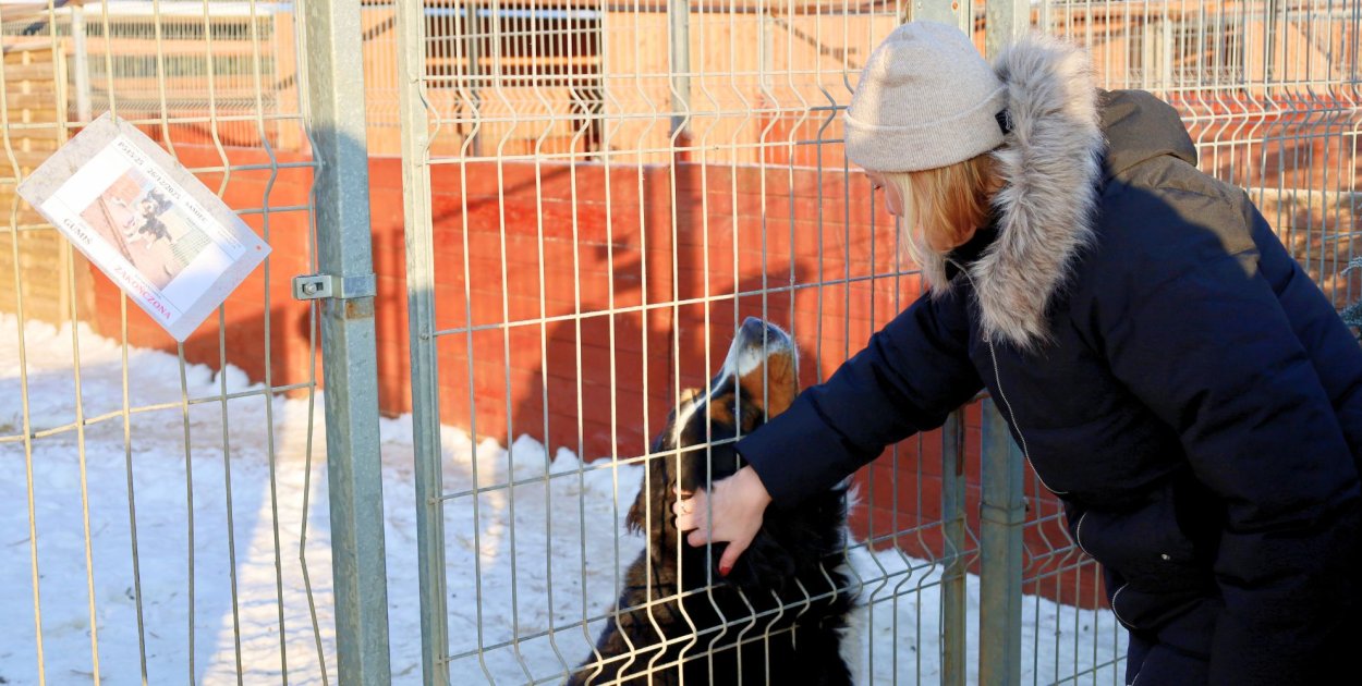 Wielka kontrola schronisk na Pomorzu. To efekt akcji Dody i Łukasza Litewki?