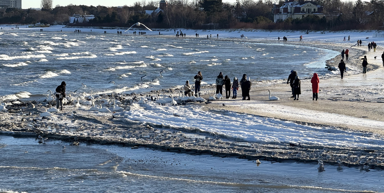 Sopot gwiazdą zimowego rankingu! Głosy internautów zdecydowały