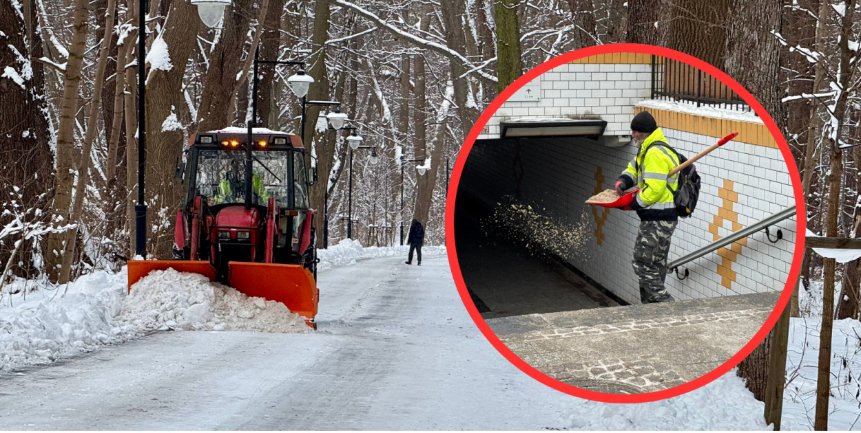 Władze Sopotu ujawniają: olbrzymie wydatki na Akcję Zima 2026