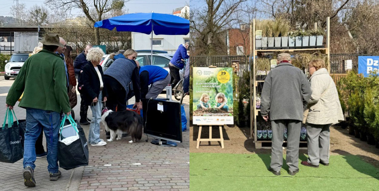Oddaj elektrośmieci, odbierz sadzonkę! Popularna akcja wraca na Sopocki Rynek
