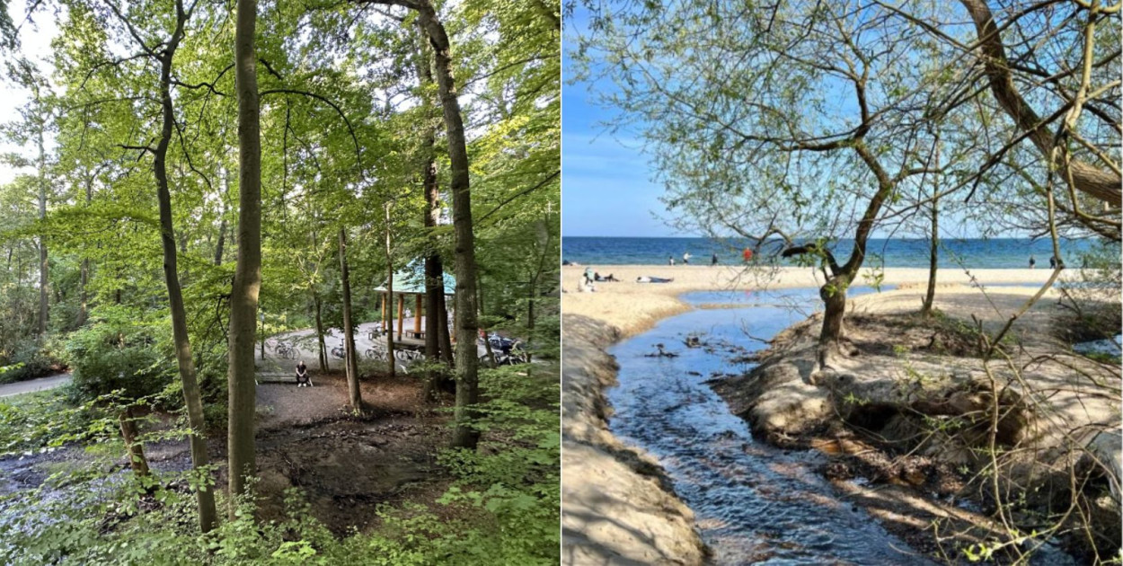 Granica Sopotu z Gdynią zyska nowe oznaczenie! Wiemy, co planują władze miasta