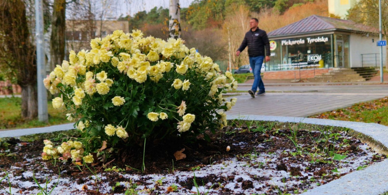 Przymrozki w Sopocie aż do poniedziałku! IMGW wydało ostrzeżenie 1 stopnia