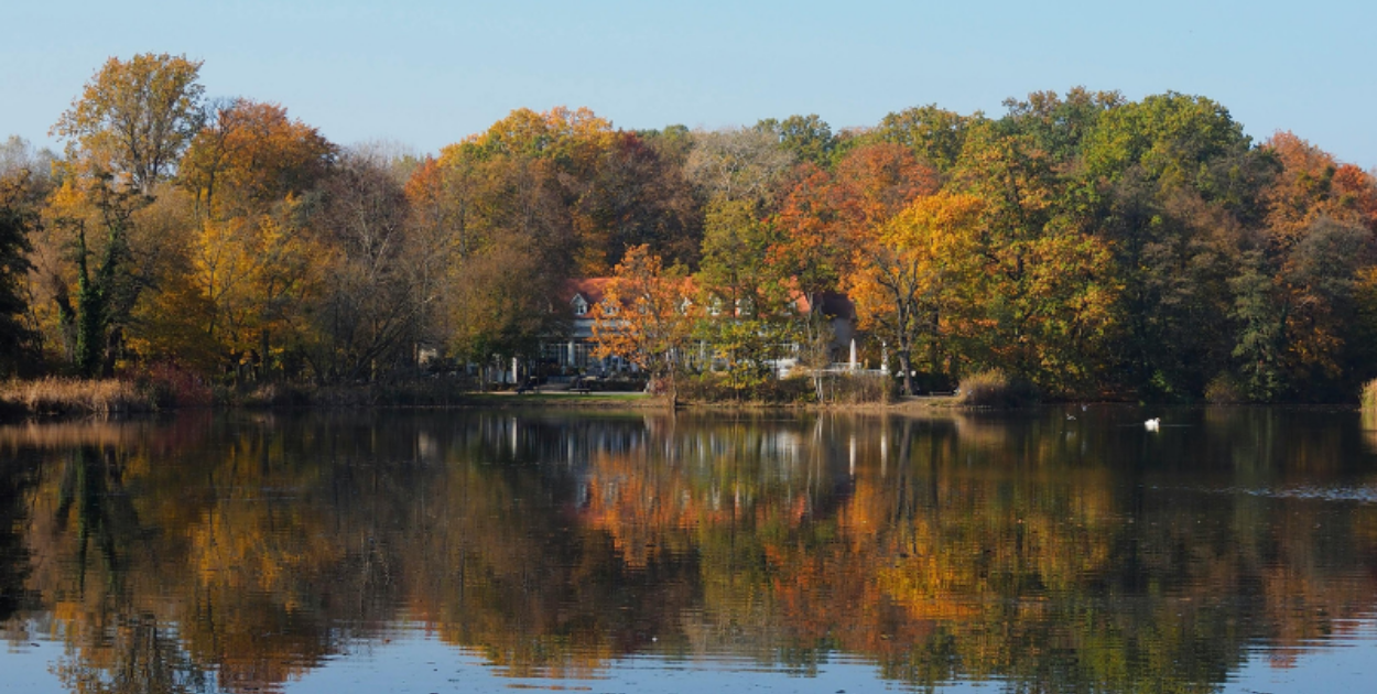 Odkryj najlepsze sposoby na relaks w Poznaniu: Twój przewodnik po miejskich oazach
