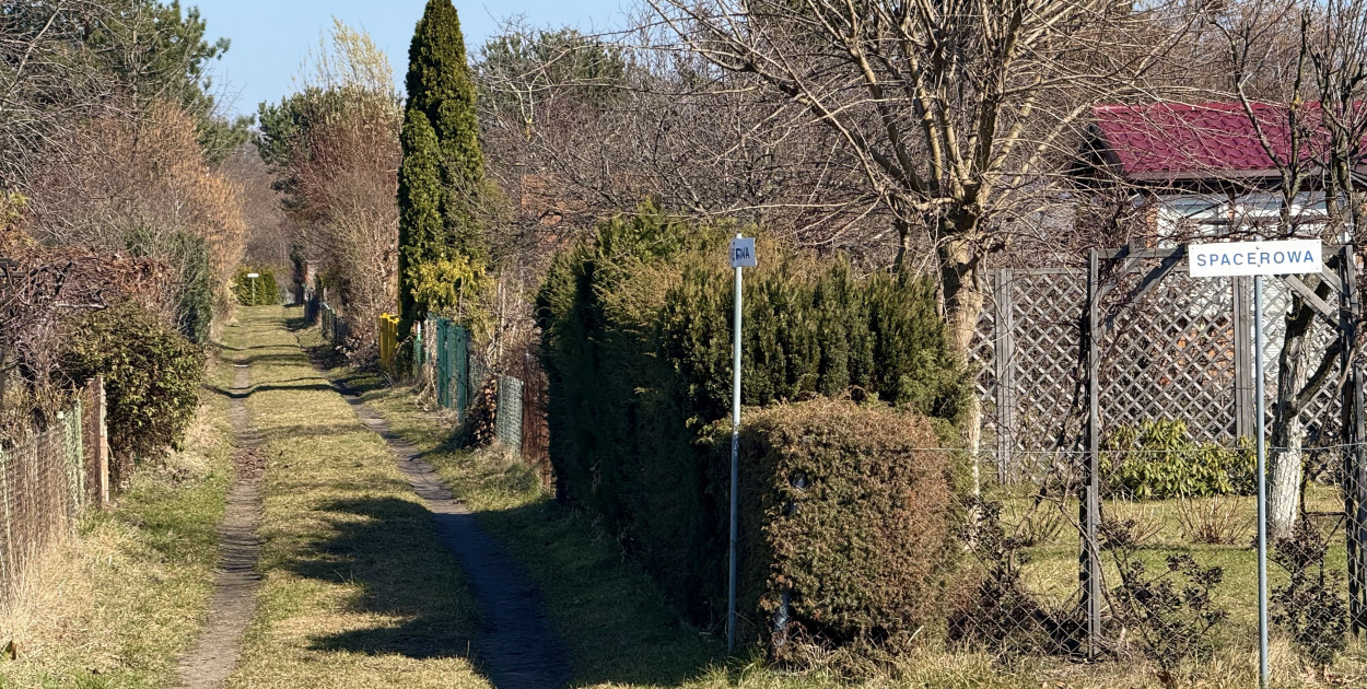Ile kosztuje własny kawałek zieleni w Sopocie? Sprawdziliśmy ceny działek ROD