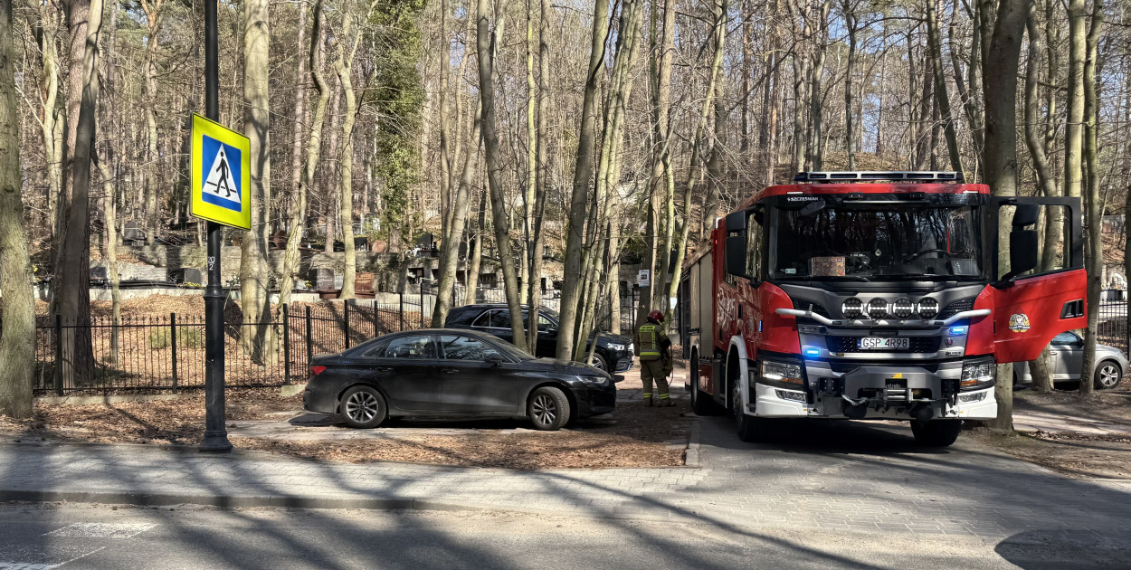 Ogień na sopockim cmentarzu. Na miejscu pracowali strażacy i policjanci