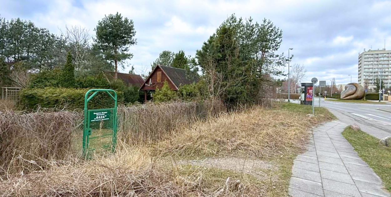 Powstała petycja w obronie ROD „Oaza” w Sopocie