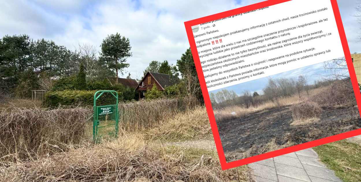 Pożar w okolicy Ergo Areny i ROD "Oaza". Dzień wcześniej protestowali tu...