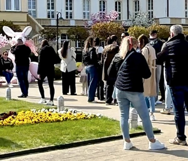 Za czym kolejka ta stoi w Sopocie? Wielkanocny zajączek robi furorę w ogrodzie Grand Hotelu [WIDEO]