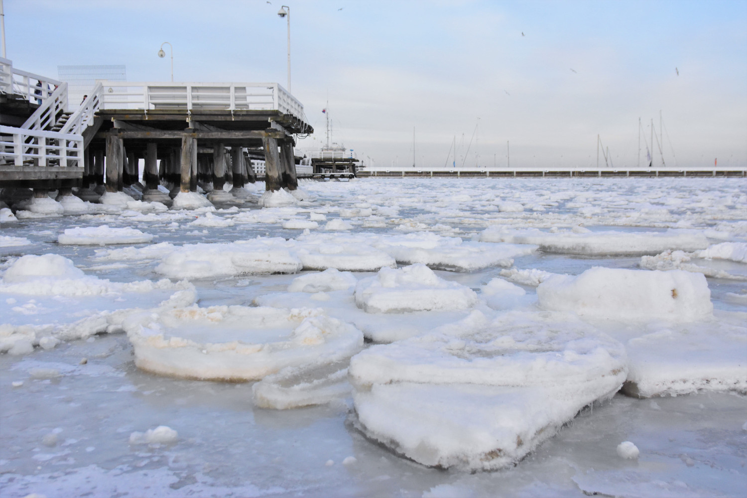 Fot. Małgorzata Osowiecka-Szczygieł