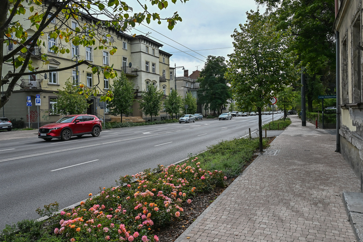 Fot. Jerzy Bartkowski, Sopografia