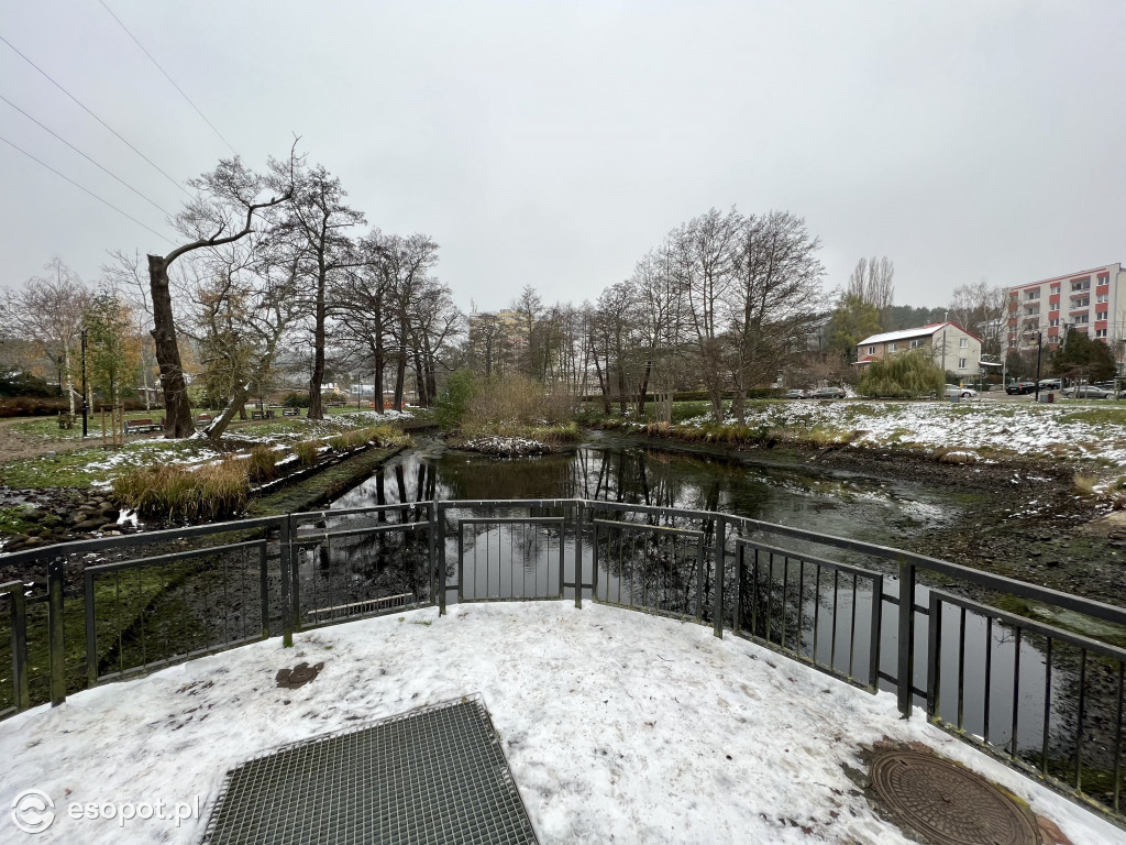 Staw Reja podczas osuszania w listopadzie 2022 roku. Zdjęcie poglądowe. Fot. esopot.pl Staw Reja podczas osuszania w listopadzie 2022 roku. Zdjęcie poglądowe. Fot. esopot.pl