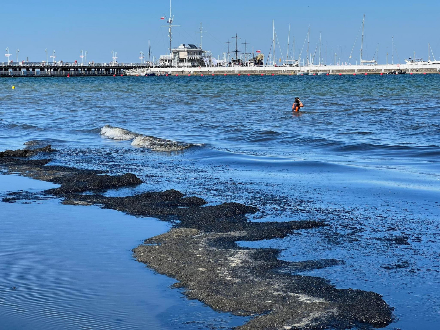 Choć plaże w Sopocie sprzątane są każdego dnia, na brzegu morza i tak tworzą się skupiska glonów. Fot. Rafał Czajka