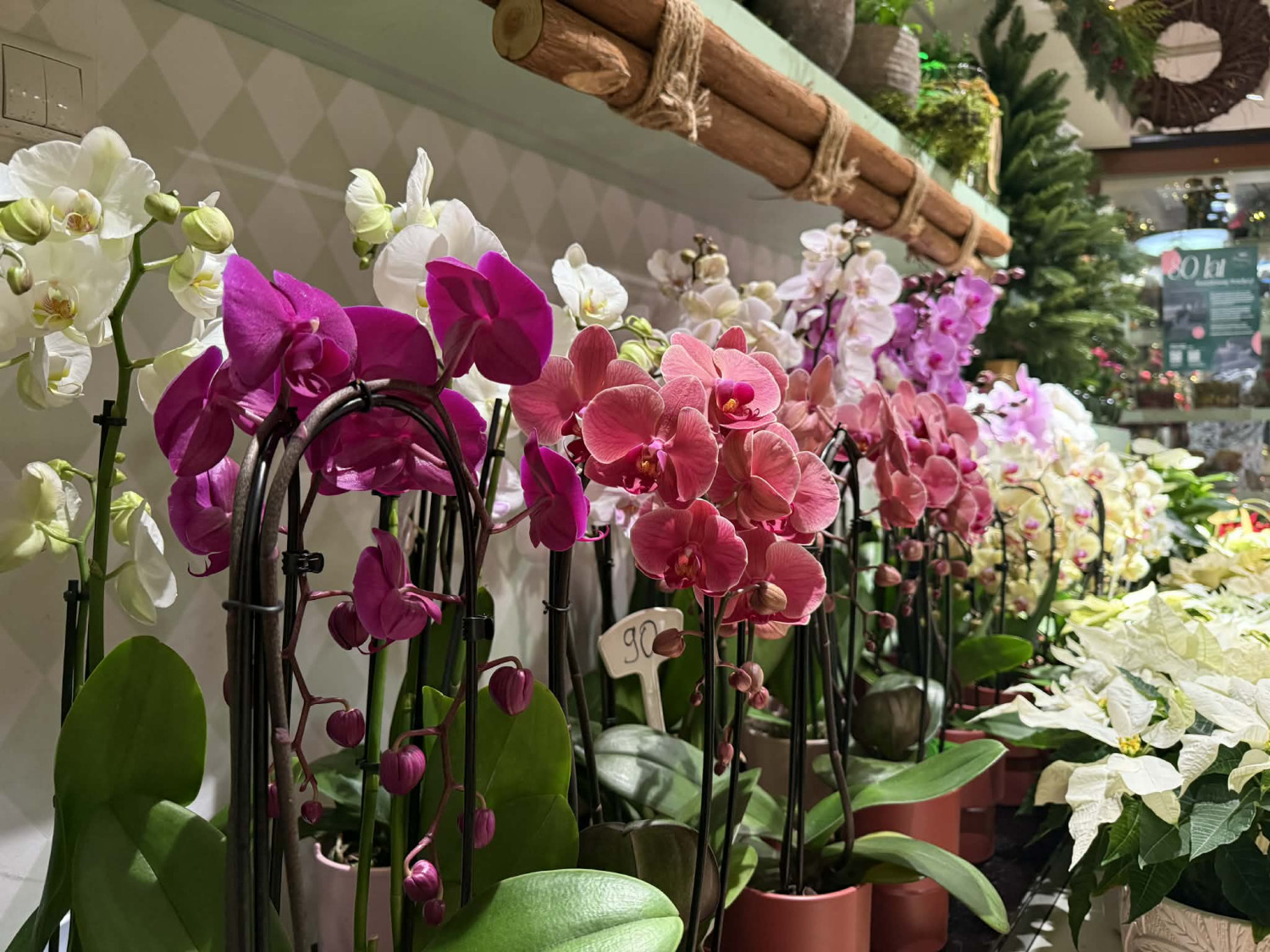 Fot. Esopot.pl - Agata Cieślińska Fot. Esopot.pl - Agata Cieślińska