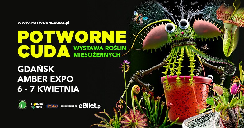 Fot. materiały organizatora