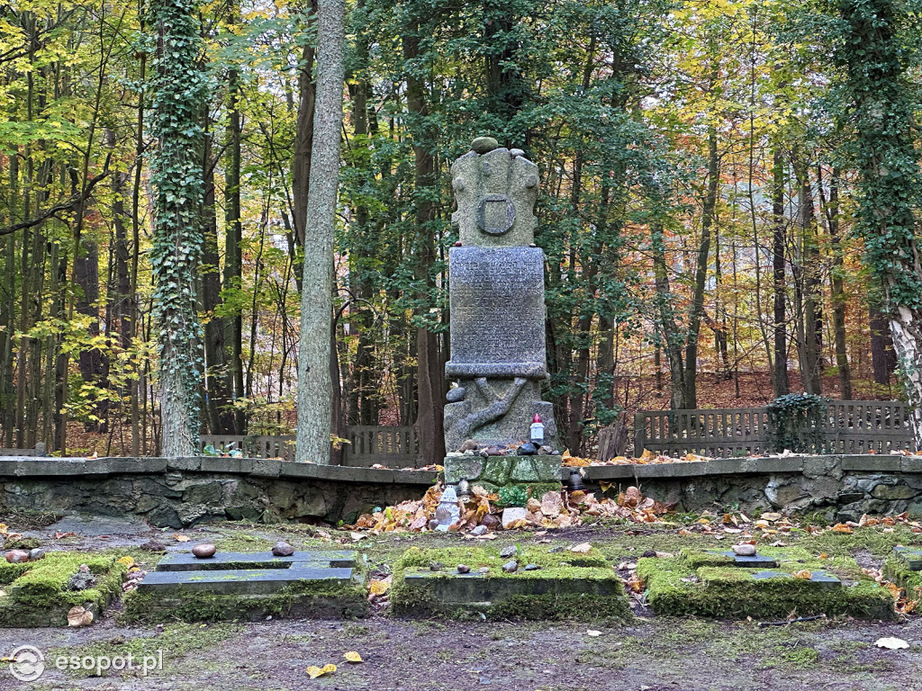 Na zdjęciu: cmentarz żydowski w Sopocie (fragment).