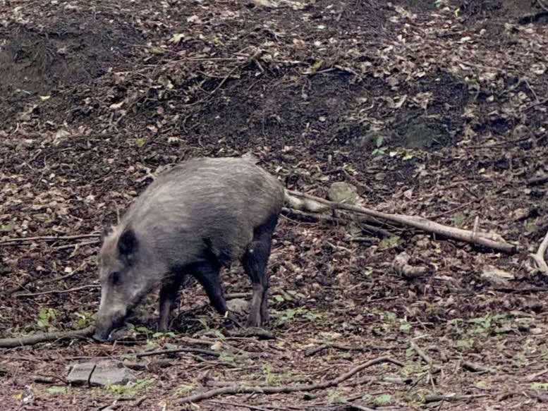 Zdjęcie poglądowe. Fot. Emil Bogumił