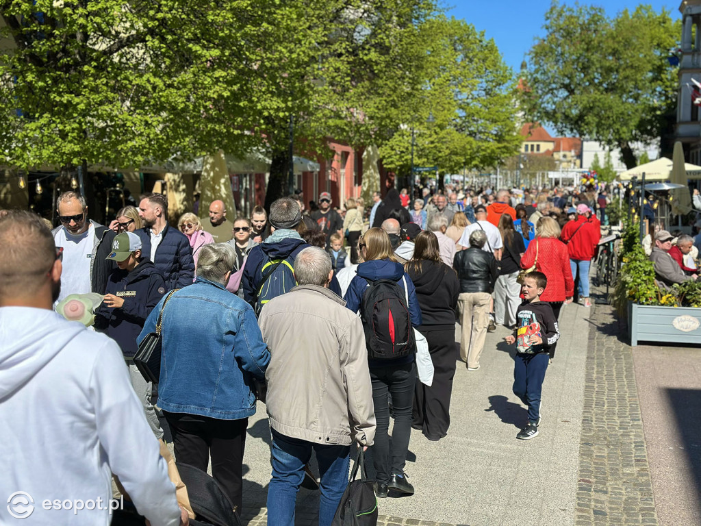 Tłum ludzi spacerujący ul. Bohaterów Monte Cassino w Sopocie. Fot. esopot.pl