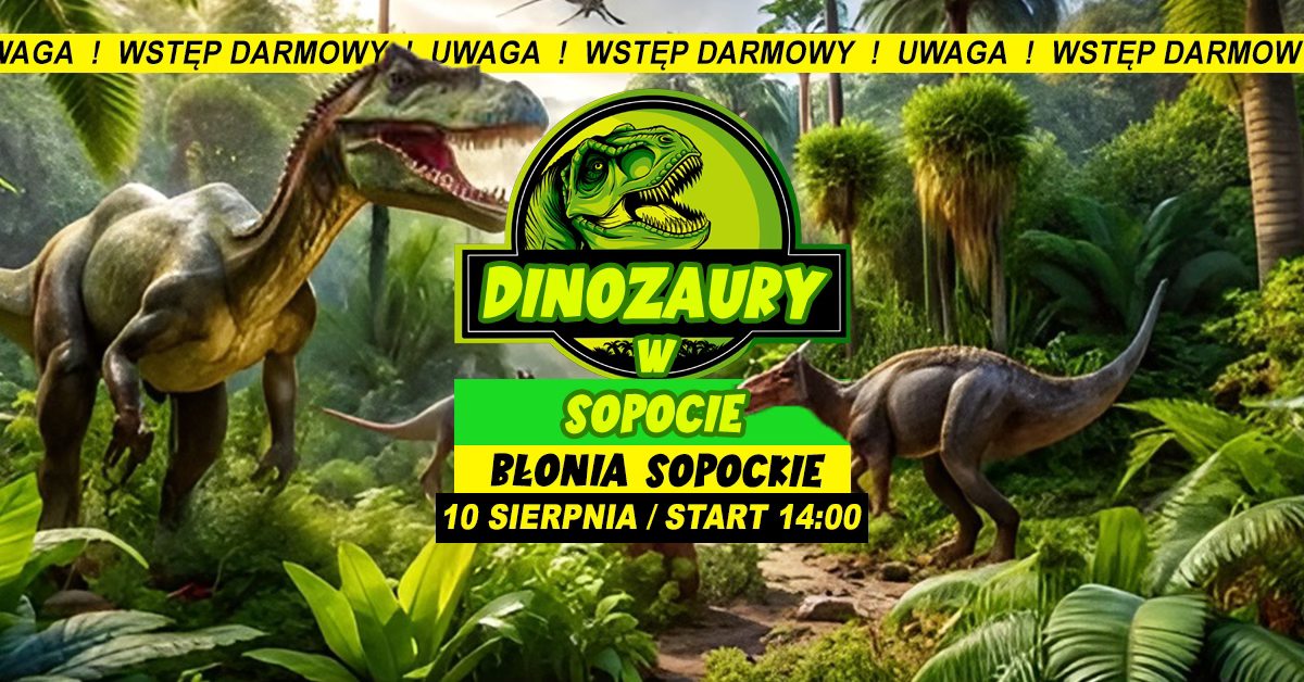 Materiały promocyjne organizatora