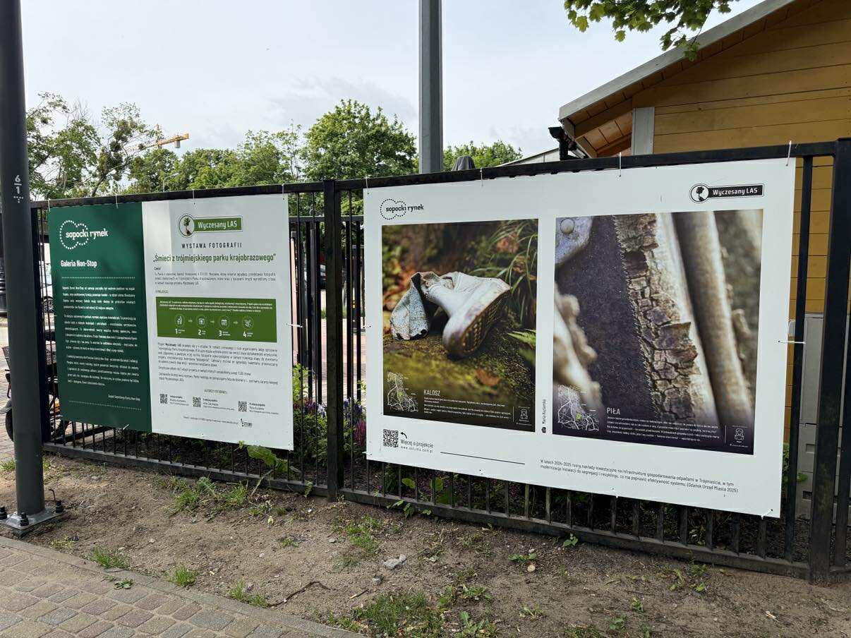 Fot. Bartosz Bańka - ECO Sopot