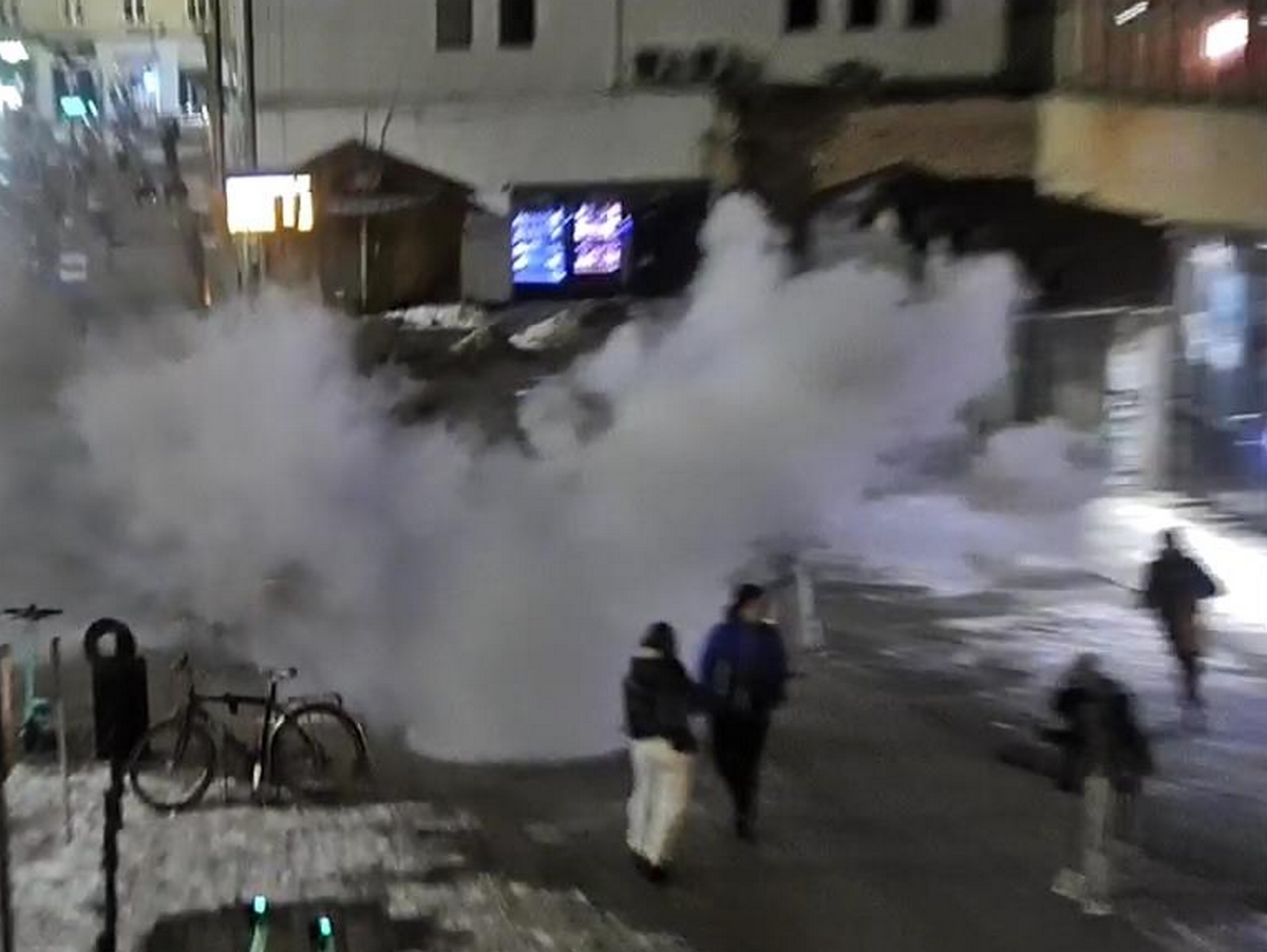 Fot. Straż Miejska w Gdańsku - Facebook Fot. Straż Miejska w Gdańsku - Facebook