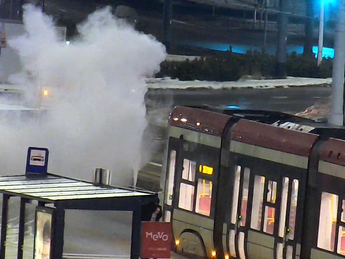 Fot. Straż Miejska w Gdańsku - Facebook Fot. Straż Miejska w Gdańsku - Facebook