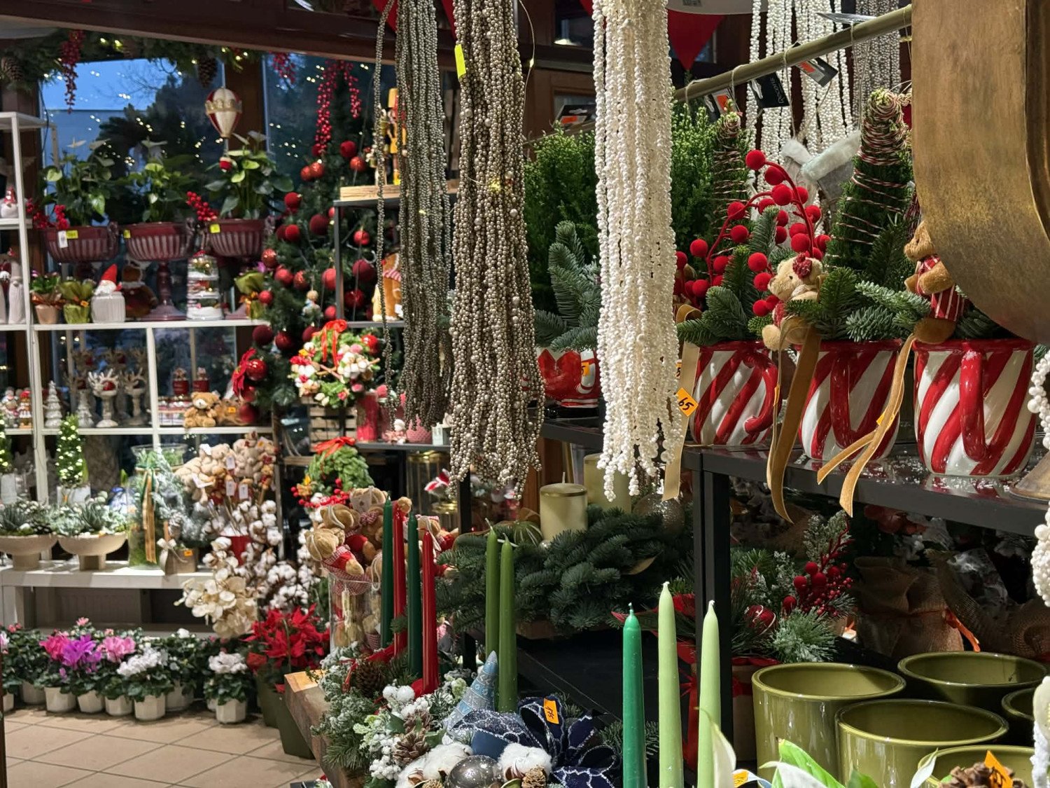 Fot. Esopot.pl - Agata Cieślińska Fot. Esopot.pl - Agata Cieślińska