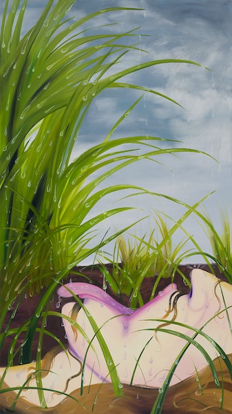 Karolina Jabłońska, A head in the grass / Materiały promocyjne Państwowej Galerii Sztuki
