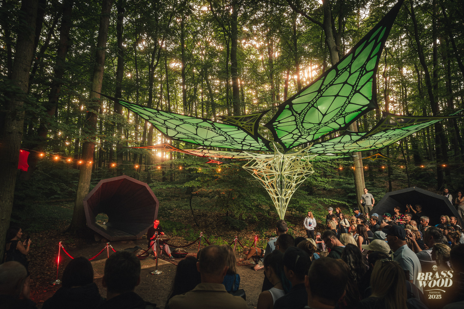 Fot. Brasswood Festival - materiały prasowe