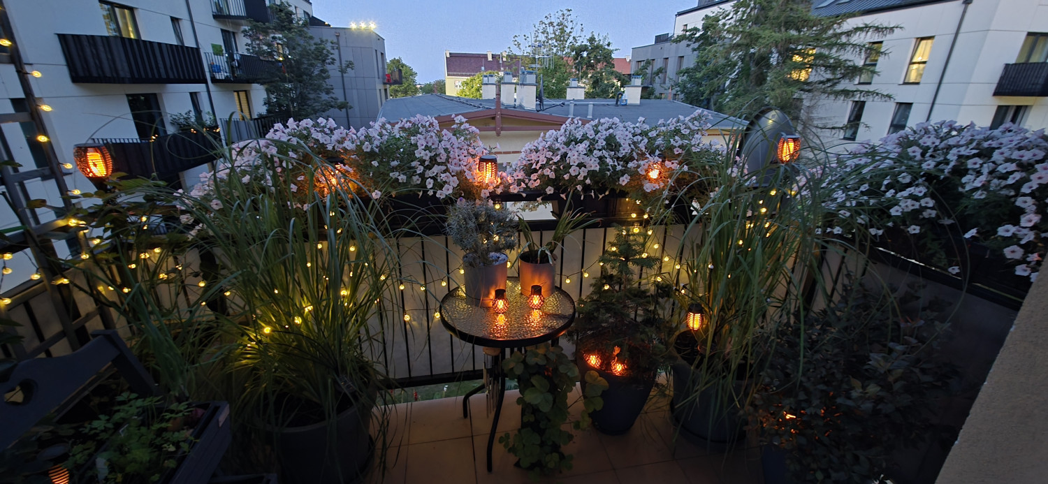 Fot. materiały UMS Fot. materiały UMS