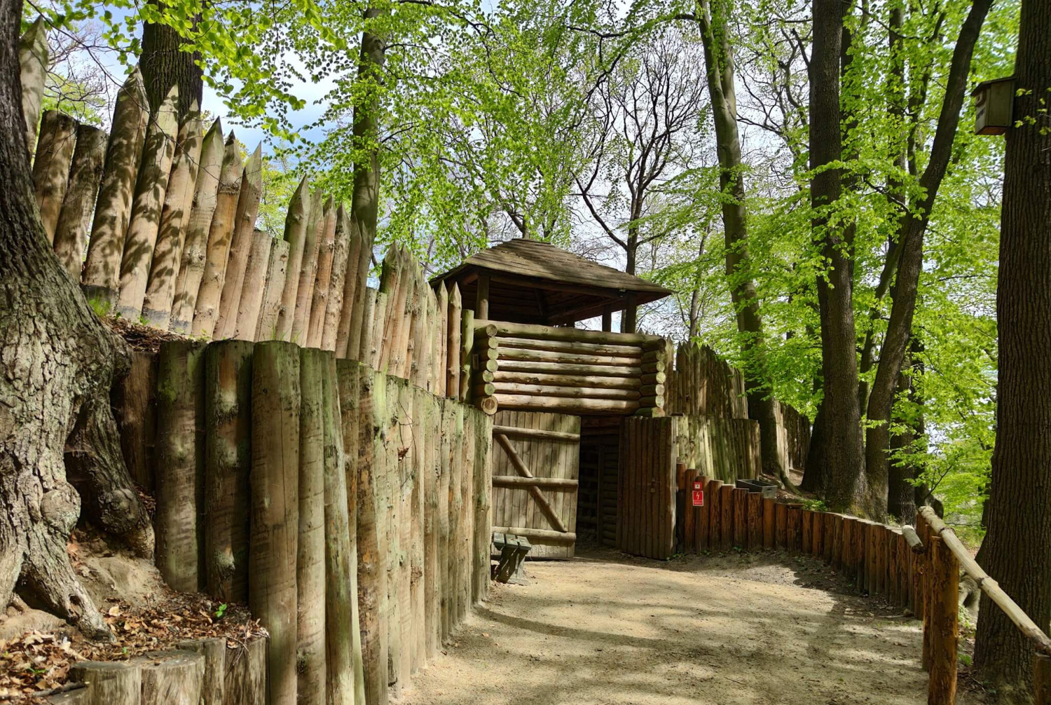 Fot. materiały prasowe - Muzeum Archeologiczne w Gdańsku