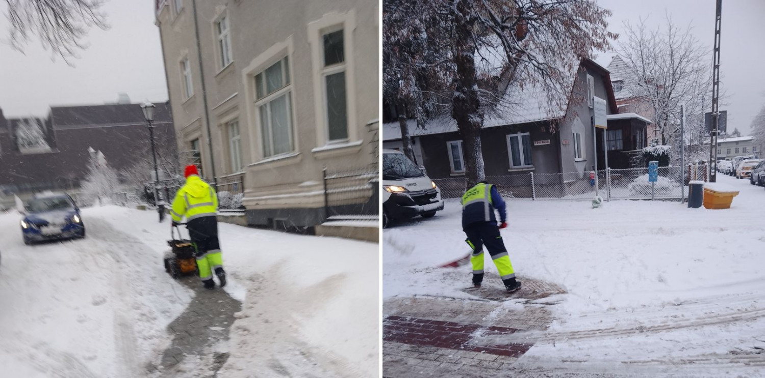 Fot. Eco Sopot