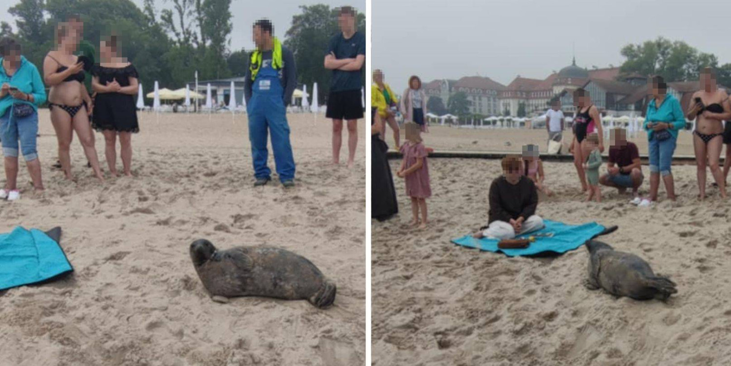 Zdjęcie nadesłane przez czytelnika.